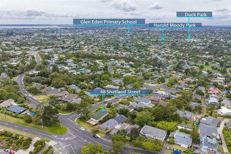 Photo of property in 48 Shetland Street, Glen Eden, Auckland, 0602