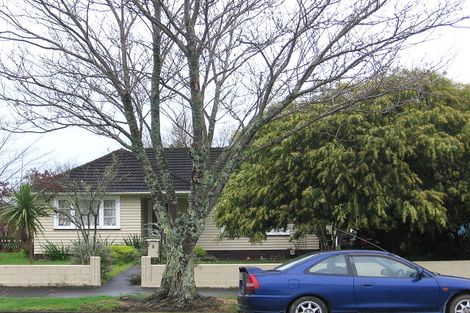 Photo of property in 6 Mabel Street, Levin, 5510