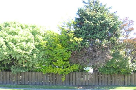 Photo of property in 196 Ormond Road, Mangapapa, Gisborne, 4010