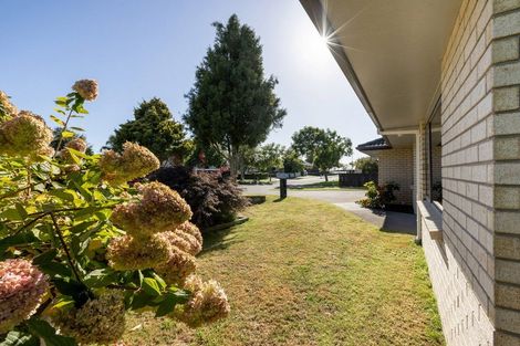 Photo of property in 113 Chater Avenue, Bethlehem, Tauranga, 3110