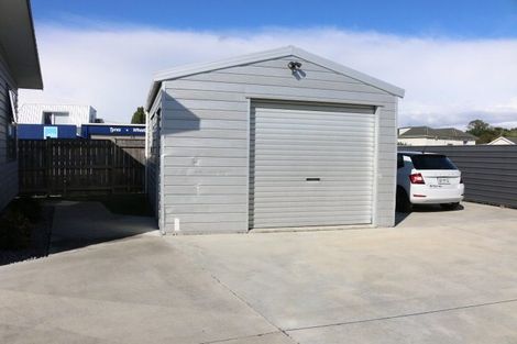 Photo of property in 2c2d Haggitt Street, Feilding, 4702