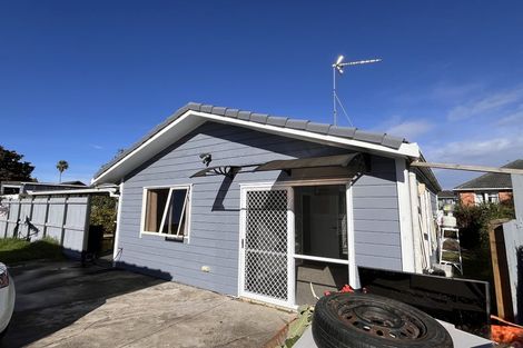 Photo of property in 17 Tuakiri Street, Point England, Auckland, 1072