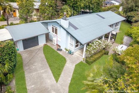 Photo of property in 1003 Totara Street, Mahora, Hastings, 4120