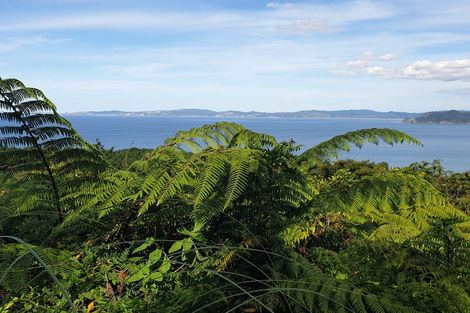 Photo of property in 492 Tuateawa Road, Tuateawa, Coromandel, 3583