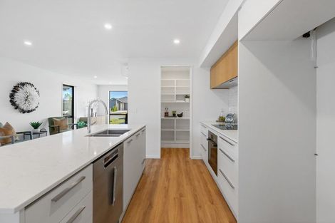 Photo of property in 29 Branthwaite Drive, Rolleston, 7615