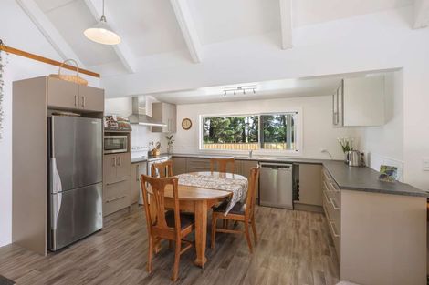 Photo of property in 64 Diana Street, Lumsden, 9730