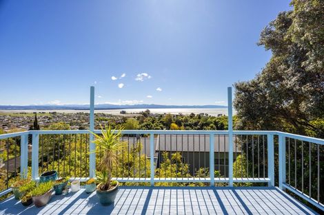 Photo of property in 78a Tosswill Road, Tahunanui, Nelson, 7011