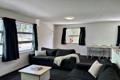 Photo of property in Drummond Street Flats, 27/19 Drummond Street, Mount Cook, Wellington, 6021