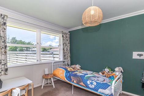 Photo of property in 17 Hobson Street, Levin, 5510