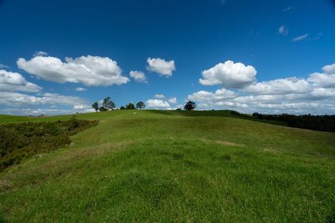 Photo of property in 1371 Ruapekapeka Road, Kawakawa, 0182