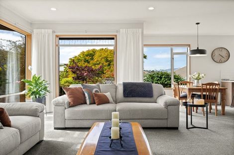 Photo of property in 19 Argyle Street, Mornington, Dunedin, 9011