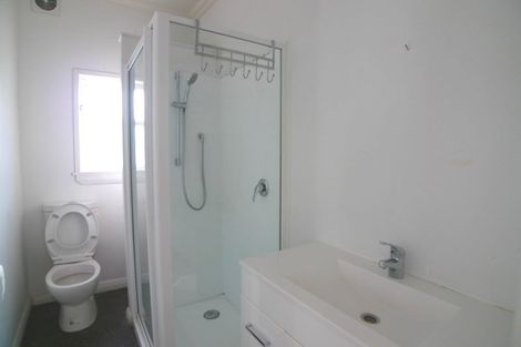 Photo of property in 95 Roxburgh Street, Mount Victoria, Wellington, 6011