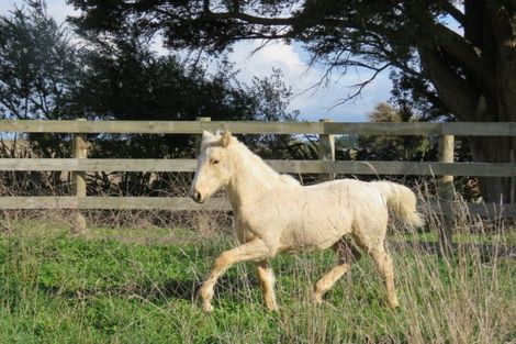 Photo of property in 115a Arcus Road, Te Horo, Otaki, 5582