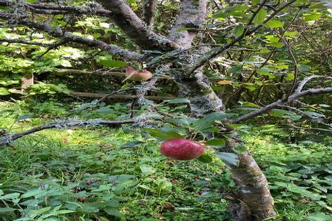 Photo of property in 140 Cecil Road, Wadestown, Wellington, 6012