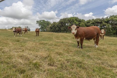 Photo of property in 1358 Makirikiri Road, Turakina, Marton, 4789