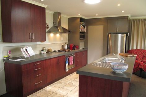 Photo of property in 35 Larch Crescent, Alexandra, 9320