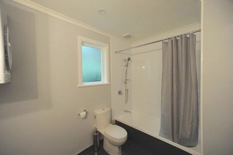 Photo of property in 149 The Ridgeway, Mornington, Wellington, 6021