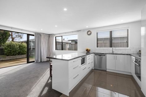 Photo of property in 24a Leeds Street, Milson, Palmerston North, 4414