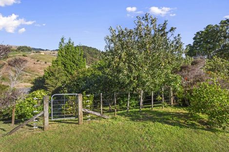 Photo of property in 209 Ohautira Road, Raglan, 3295