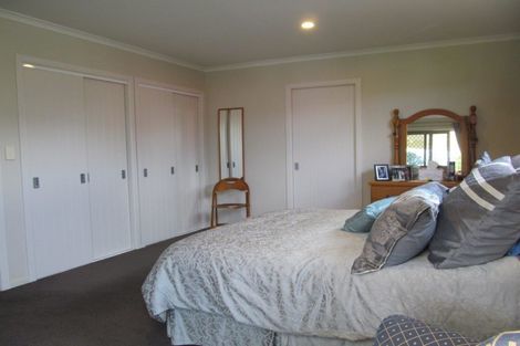 Photo of property in 35 Larch Crescent, Alexandra, 9320