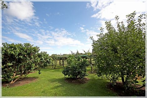 Photo of property in 1071 Queen Street East, Levin, 5510