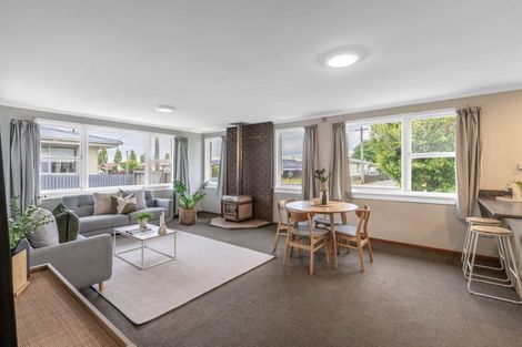 Photo of property in 119 Robertson Street, Gore, 9710