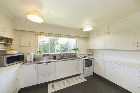 Photo of property in 50 Windsor Street, Terrace End, Palmerston North, 4410