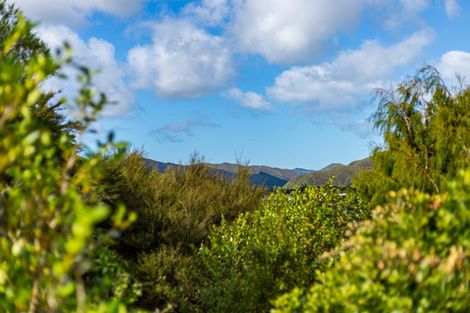 Photo of property in 43 Petrie Street, Wainuiomata, Lower Hutt, 5014