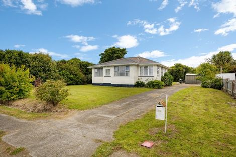 Photo of property in 151 Portia Street, Stratford, 4332