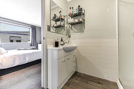 Photo of property in 56e Willoughby Street, Whitiora, Hamilton, 3200