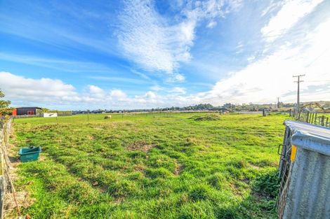 Photo of property in 55 Roots Street East, Feilding, 4702