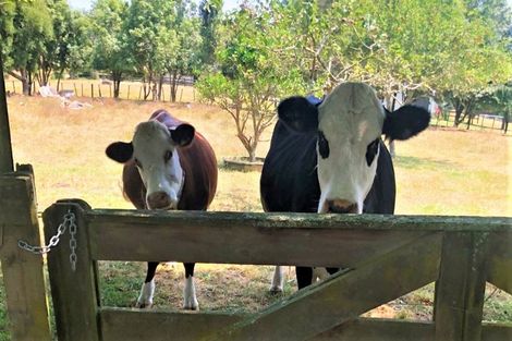 Photo of property in 1079 Taotaoroa Road, Karapiro, Cambridge, 3496