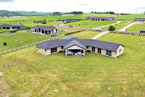 Photo of property in 49 Broad Oaks Road, Morrinsville, 3375