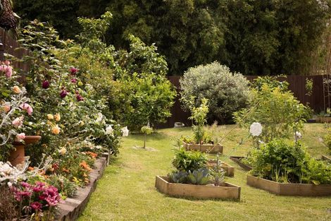 Photo of property in 60 Kohekohe Street, New Lynn, Auckland, 0600