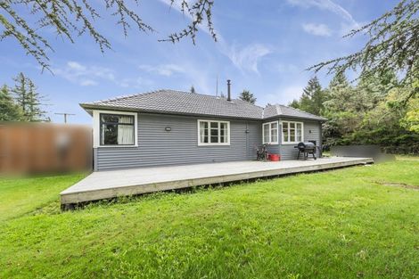 Photo of property in 605 Poyntzs Road, Eyrewell, Rangiora, 7476