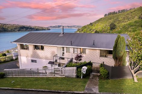Photo of property in 46 Adderley Terrace, Ravensbourne, Dunedin, 9022