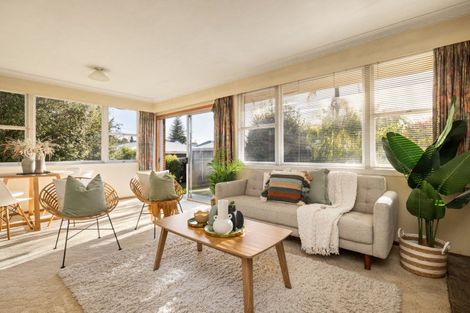 Photo of property in 11 Rimu Street, Gate Pa, Tauranga, 3112