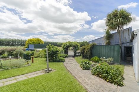 Photo of property in 991 Parewanui Road, Parewanui, Bulls, 4894