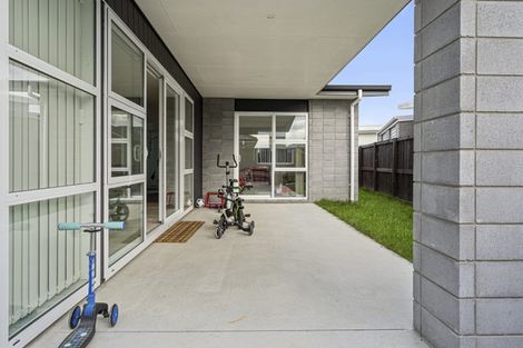 Photo of property in 13 Hapu Avenue, Baverstock, Hamilton, 3200