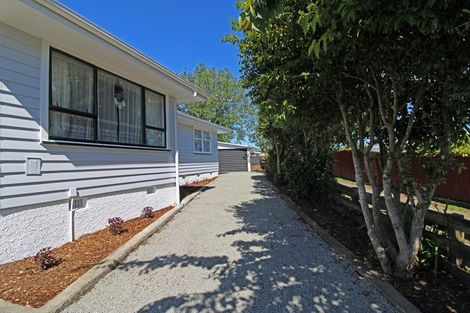 Photo of property in 14 Allenby Street, Lansdowne, Masterton, 5810