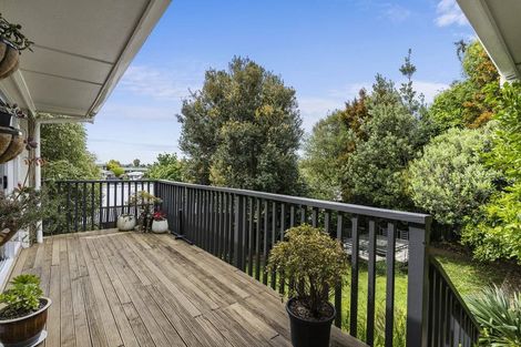 Photo of property in 68 Coopers Road, Gate Pa, Tauranga, 3112