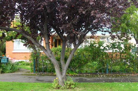 Photo of property in 29 Ayr Street, Mosgiel, 9024