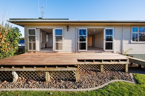 Photo of property in 392 Ruahine Street, Terrace End, Palmerston North, 4410