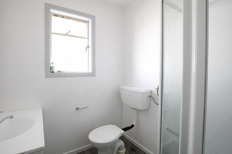 Photo of property in 29 Marslin Street, Alexandra, 9320