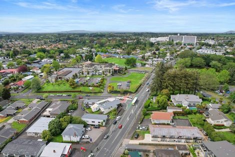 Photo of property in 82 Palmerston Street, Hamilton Lake, Hamilton, 3204