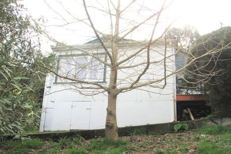 Photo of property in 105 Broad Street, Thames, 3500