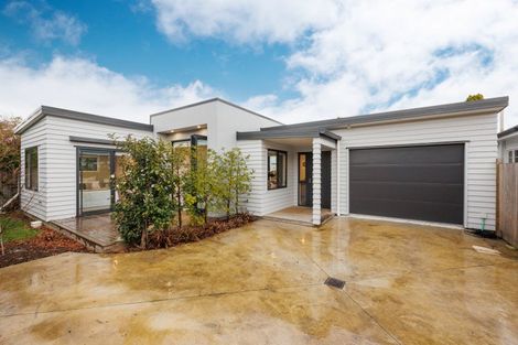 Photo of property in 18a East Street, Terrace End, Palmerston North, 4410