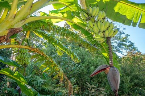Photo of property in 1036 Taupo Bay Road, Taupo Bay, Mangonui, 0494