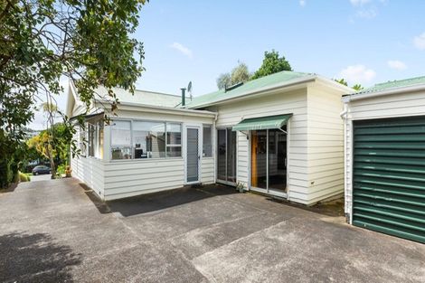 Photo of property in 46 Ellerton Road, Mount Eden, Auckland, 1024