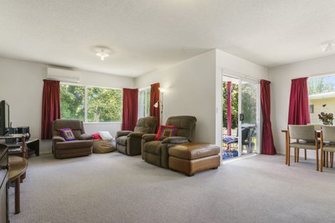 Photo of property in 70 Hammond Street, Hairini, Tauranga, 3112